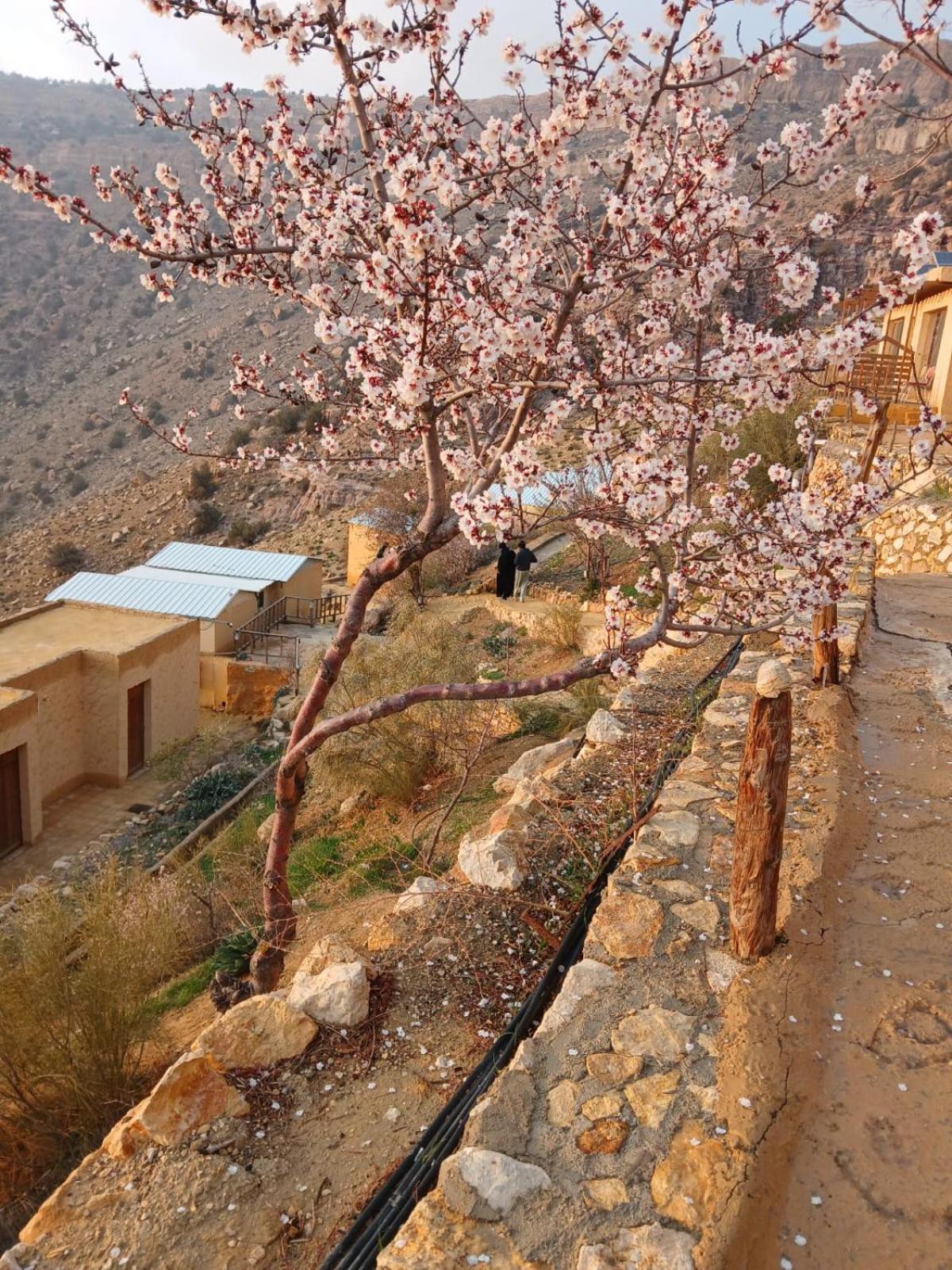 Dana Village Camp-Wadi Dana Eco Camp Экстерьер фото